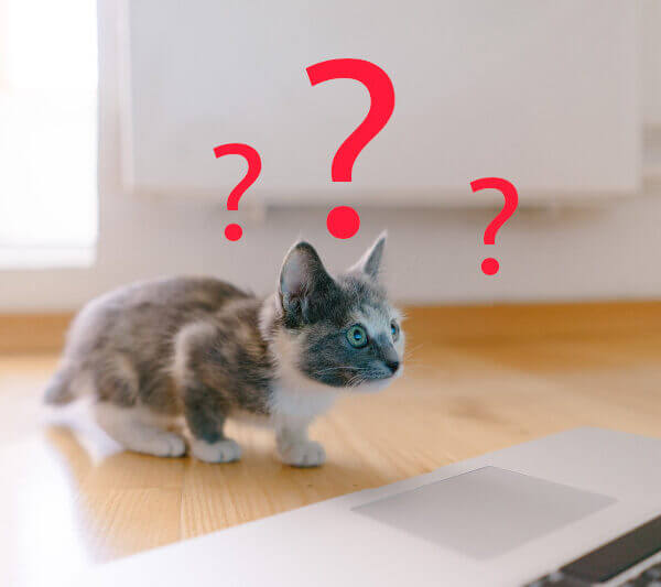 Virtual Private Server - FAQ