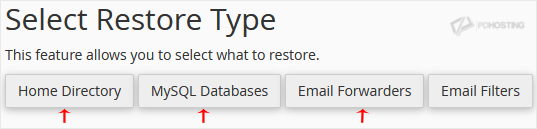 Select Restore Type